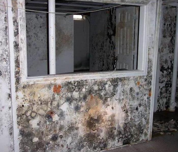 Mold inside of a home